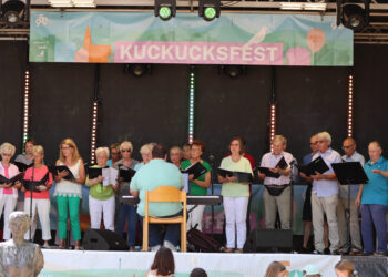Stammchor Liederkranz Botnang unter der Leitung von Dimitri Prokhorenko