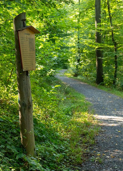 Der Kuckucksweg in Botnang