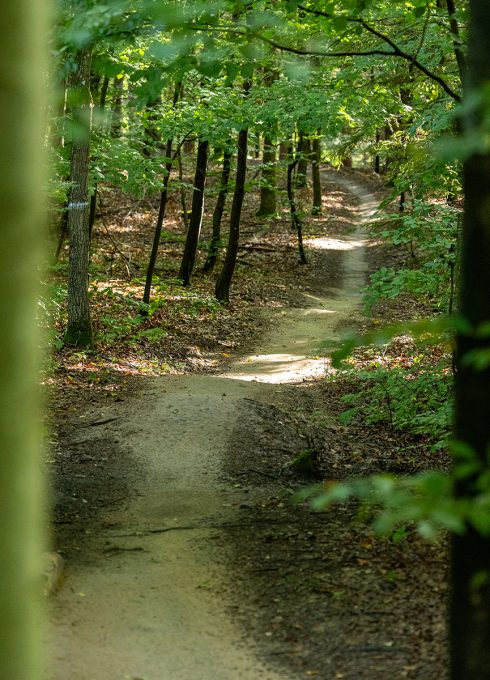 Mountainbike-Trails in Botnang